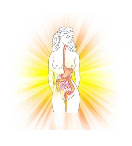 Snímek obrazovky 2026-03-19 171829